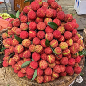 我已经开始期待夏天的