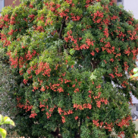 我已经开始期待夏天的