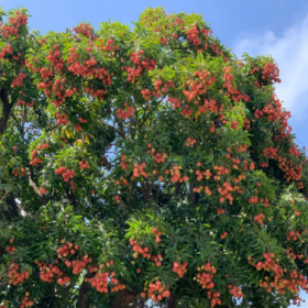 我已经开始期待夏天的