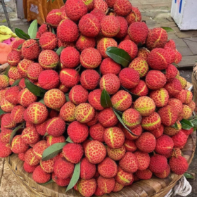 我已经开始期待夏天的