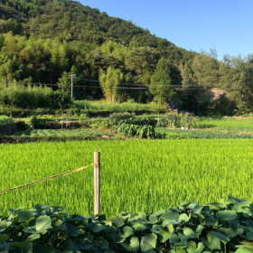 如果心情不好,就出去
