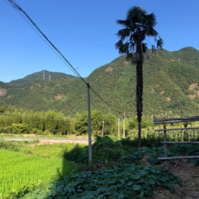 如果心情不好,就出去