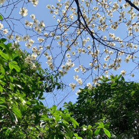 如果心情不好,就出去
