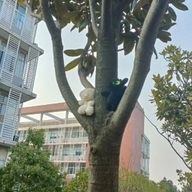 生活总要有点可爱呀
