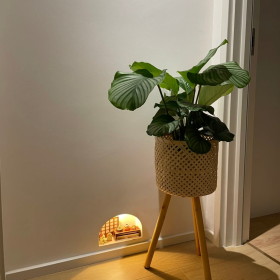 刚接触你的名字的时候