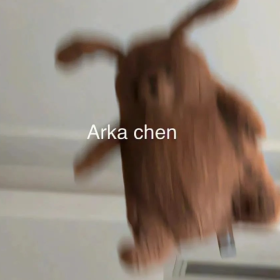 我把喜欢写在风里，从