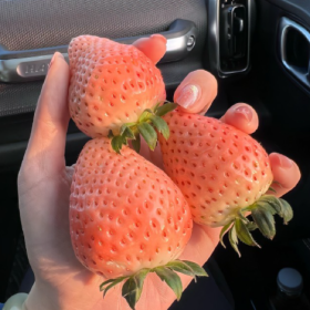 分享图片