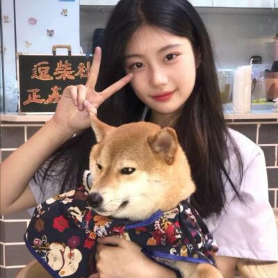 我家柴柴很乖的