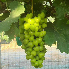 空空落落又满满当当昏