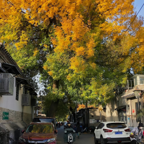 没有很快乐,也没有不