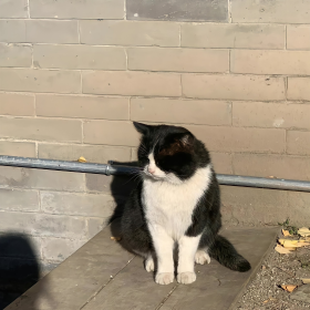 没有很快乐,也没有不