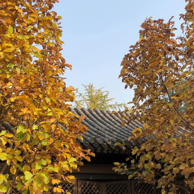 没有很快乐,也没有不