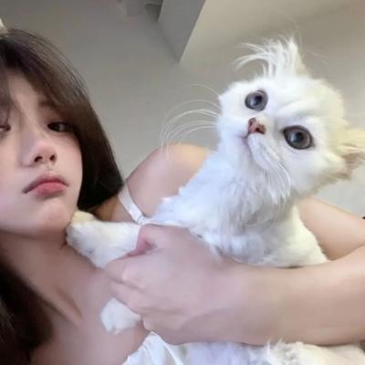 好听的小猫咪