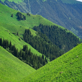 生活就像抖音,你关注