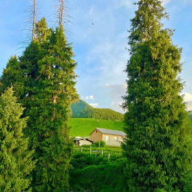 生活就像抖音,你关注