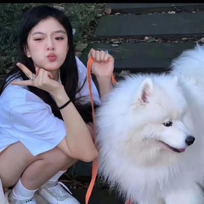 是熊酱
