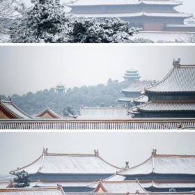 希望明年可以和朋友看