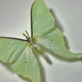 保护好自己的最佳方法