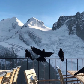 保护好自己的最佳方法