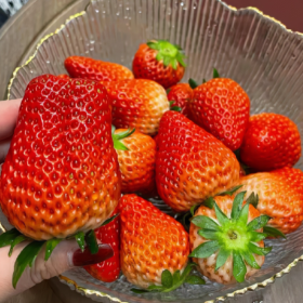 理想的生活状态：情绪