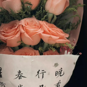 那就和𝟙𝟙月告个别吧