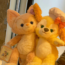 生活就像抖音,你关注