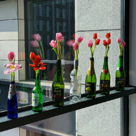 生活就像抖音,你关注