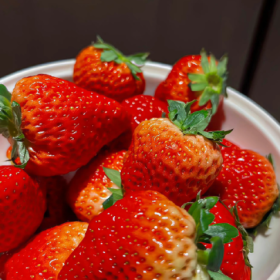 生活就像抖音,你关注