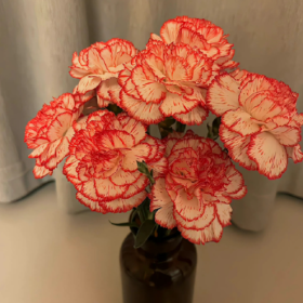 生活就像抖音,你关注