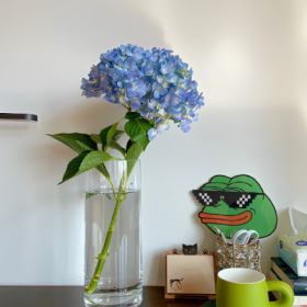 落落大方,好好生活,