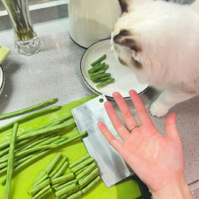 落落大方,好好生活,