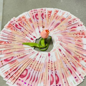 你不努力没关系 反正