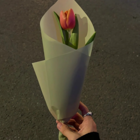 你不努力没关系 反正