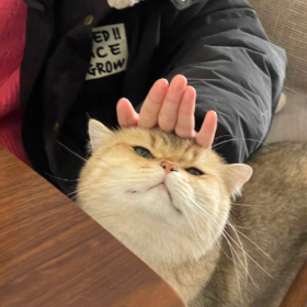 “一人难
