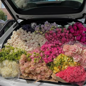 你不努力没关系 反正