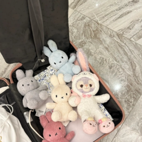 你不努力没关系 反正