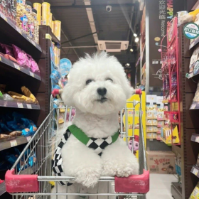 关于一万小时定律：
