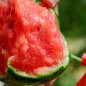 采摘的是心情，收获的