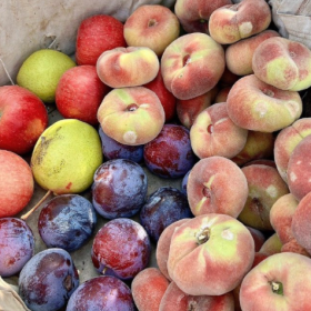 采摘的是心情，收获的