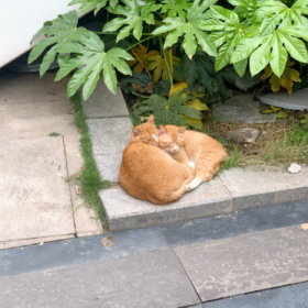 闲话一直有,不听自然