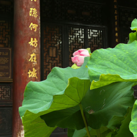 对九月没有什么要求,