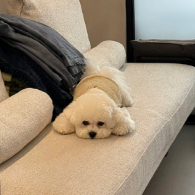 生活归于平淡，上班下