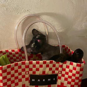 既害怕被看穿 又渴望