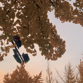 分享欲是靠回应来延续