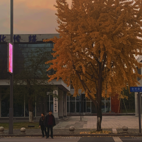 分享欲是靠回应来延续