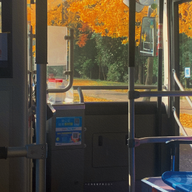 分享欲是靠回应来延续