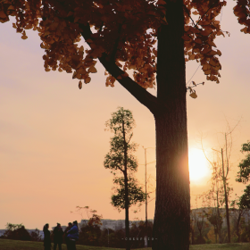 分享欲是靠回应来延续