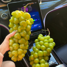 要是以后我们走不下去