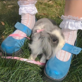春与夏 🌼🌷🌸 ​