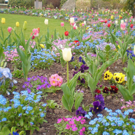 春与夏 🌼🌷🌸 ​